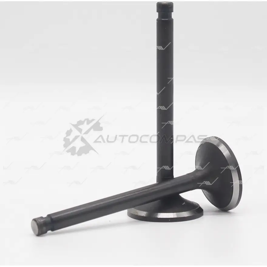 Клапан AUTOWELT VI-34021 1441179250 DUM UO