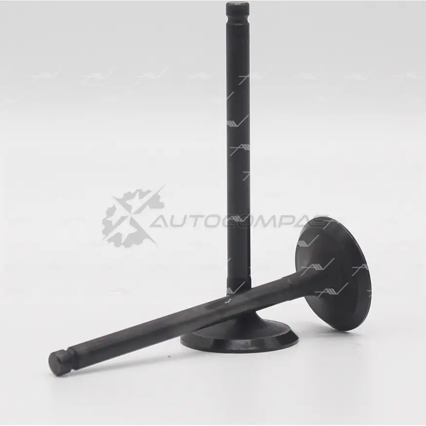Клапан AUTOWELT VI-37005 1441178521 S9IKZW K - Изображение 1