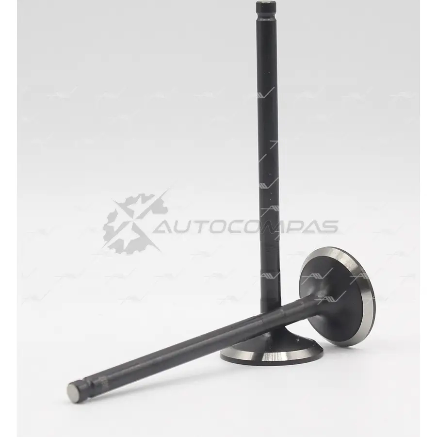 Клапан AUTOWELT VE-34017 BAWO2 GR 1441179103 - Изображение 1