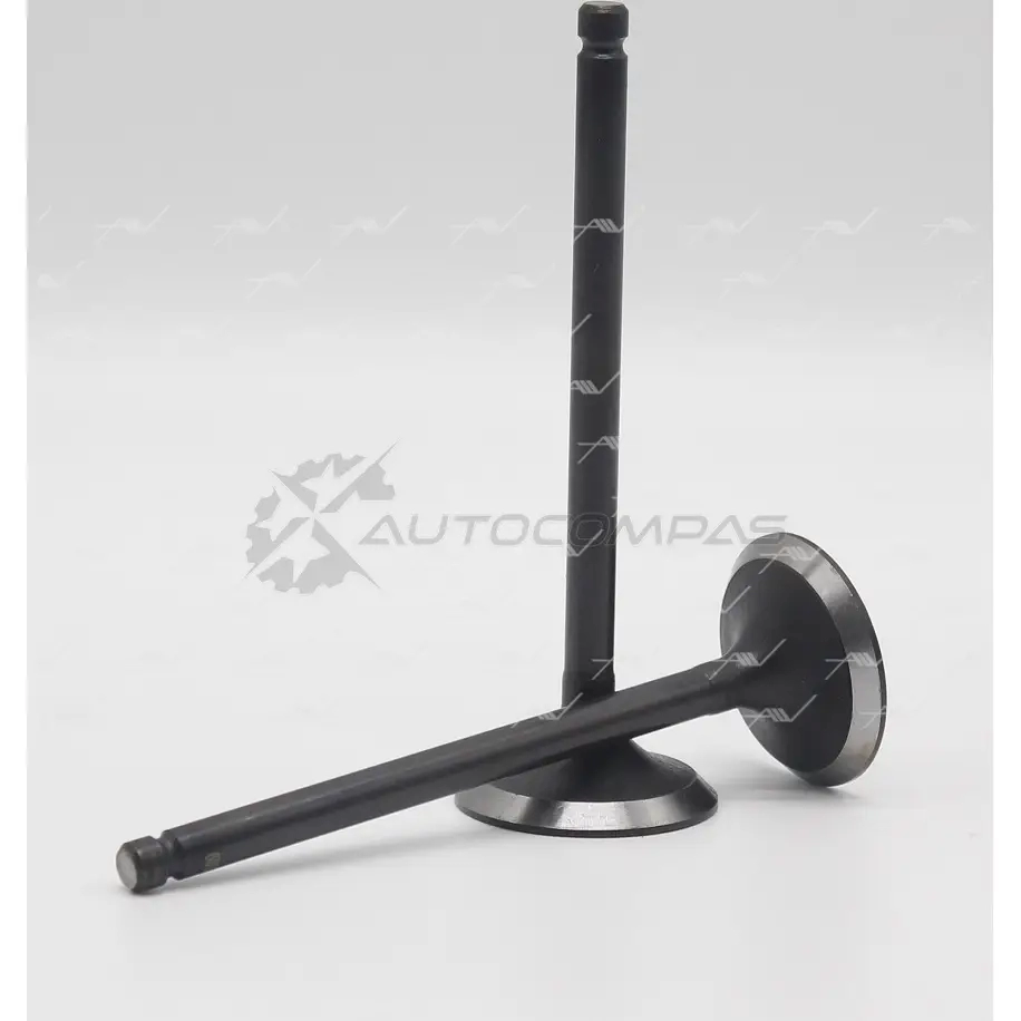 Клапан AUTOWELT A14 ZGD VI-32009 1441177112 - Изображение 1