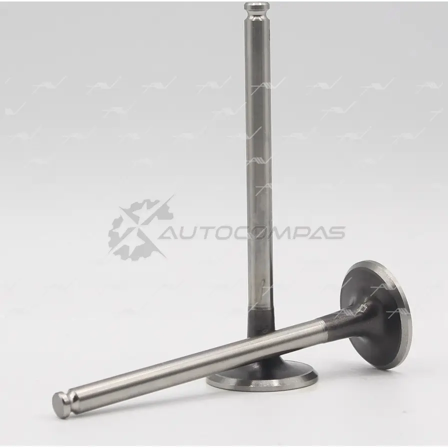 Клапан AUTOWELT 1441177062 2DD GJL VE-52005 - Изображение 1