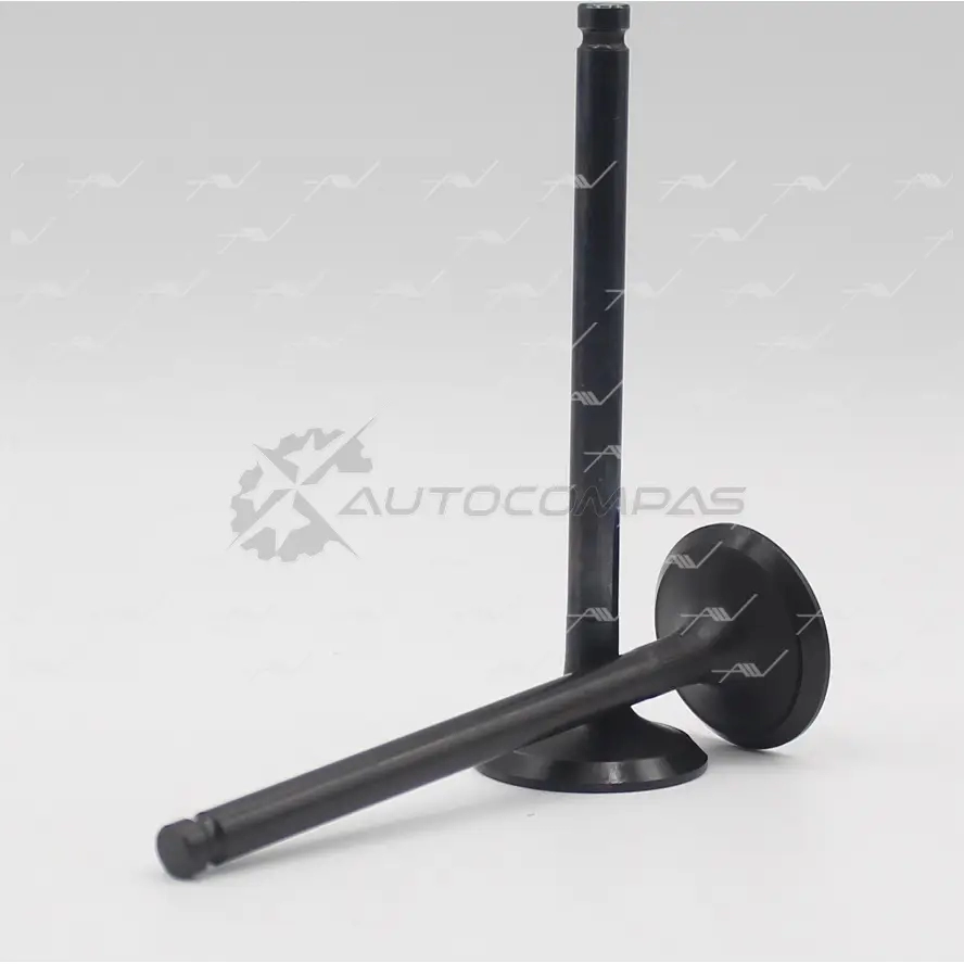 Клапан AUTOWELT I RWI9 1441176273 VE-31014 - Изображение 1