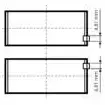Вкладыши шатунные, комплект KOLBENSCHMIDT F TX7PW 77845610 2958630 4028977617164