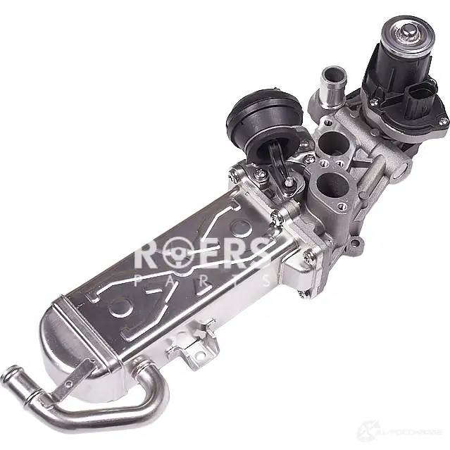 Клапан рециркуляции отработавших газов ROERS-PARTS RP03L131512N RHN QQYB 1438109231 - Изображение 1
