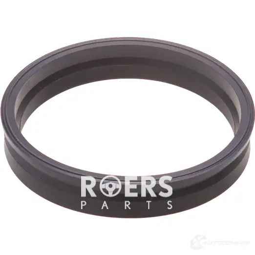 Уплотнительное кольцо бензонасоса ROERS-PARTS EAF7 Q 1438111423 RPM51SR003 изображение 0