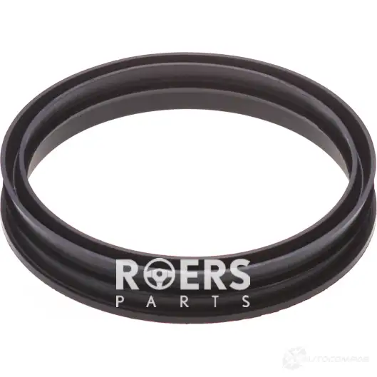 Уплотнительное кольцо бензонасоса ROERS-PARTS EAF7 Q 1438111423 RPM51SR003 изображение 1