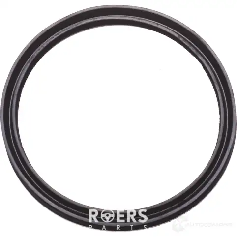 Уплотнительное кольцо бензонасоса ROERS-PARTS EAF7 Q 1438111423 RPM51SR003 изображение 2