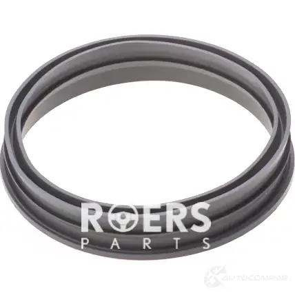 Уплотнительное кольцо бензонасоса ROERS-PARTS 1438111424 RPM51SR002 8H DGUO0 изображение 0