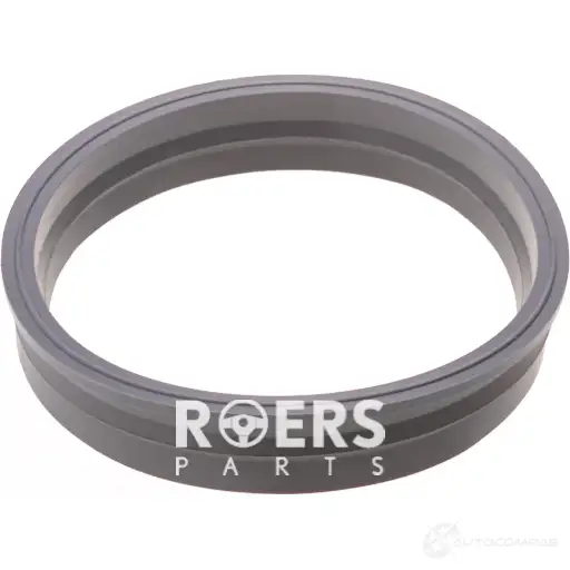 Уплотнительное кольцо бензонасоса ROERS-PARTS 1438111424 RPM51SR002 8H DGUO0 изображение 1