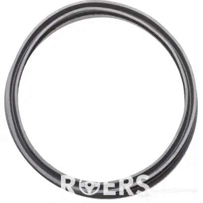 Уплотнительное кольцо бензонасоса ROERS-PARTS 1438111424 RPM51SR002 8H DGUO0 изображение 2