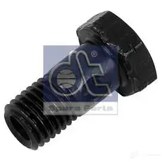 Полый винт DIESEL TECHNIC 27W0 0AN 2668479 112121 - Изображение 1