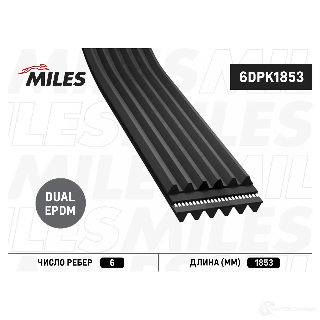 Приводной ремень поликлиновой MILES 1436965611 6DPK1853 Q KCJB