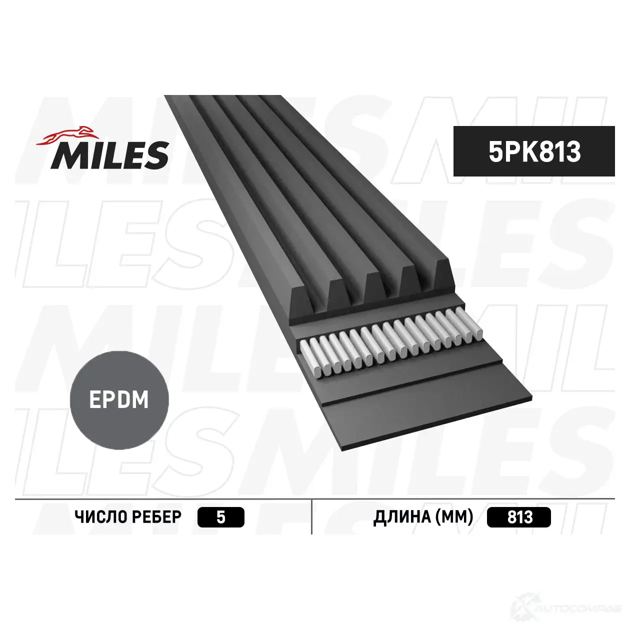 Приводной ремень поликлиновой MILES 5PK813 1436965584 RL0 9PCG