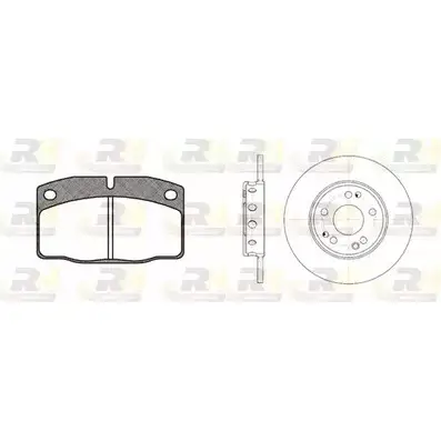 Комплект тормозных колодок и дисков ROADHOUSE 8101.01 R SX810101 1462207 9LA8DC изображение 0