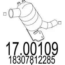 Сажевый фильтр ОГ MTS 6LDH6 1702743 D4 SCMRS 17.00109