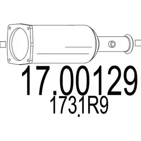 Сажевый фильтр ОГ MTS WZK EB 1702763 17.00129 SNUQQCI