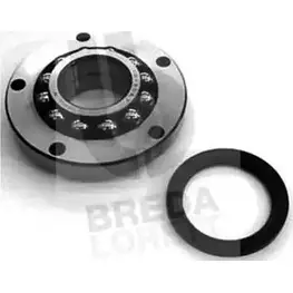Ступичный подшипник, комплект BREDA LORETT LGI8D 1715350 CR 2525 KRT2525