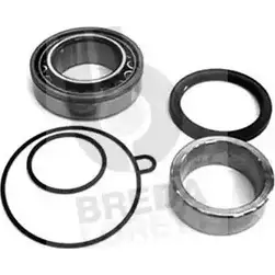 Ступичный подшипник, комплект BREDA LORETT KRT2651 CR 2651 1715435 N5UQYV