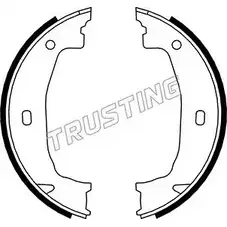 Тормозные колодки ручника, комплект TRUSTING 8VFF00T 019.028 1747775 TND G45C
