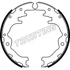Тормозные колодки, комплект TRUSTING 1748098 ZW4 L3C GPDCD35 049.143