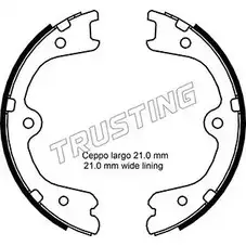 Тормозные колодки ручника, комплект TRUSTING F5 RO4 067.200 8SNYF 1748276 изображение 0