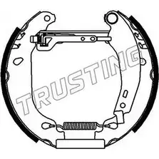 Тормозные колодки, комплект TRUSTING 2VWAO 5 PFUHI 6054 1749587 изображение 0