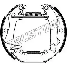 Тормозные колодки, комплект TRUSTING TDDJ5M 6123 1749649 NE6R GE изображение 0