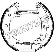 Тормозные колодки, комплект TRUSTING G3G NUP Z0S9R7 1749684 6156