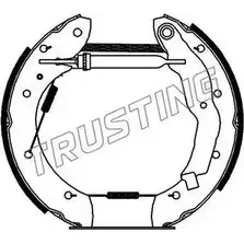 Тормозные колодки, дисковые, комплект TRUSTING A5NUR 2912 4 6190 1749722