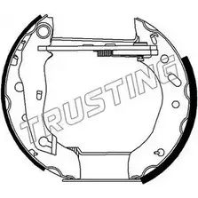 Тормозные колодки, комплект TRUSTING 6266 H7O P5 1749805 1GHHM