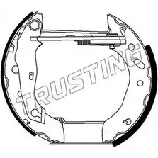 Тормозные колодки, комплект TRUSTING NPZFEM 641Y C 6267 1749806 изображение 0
