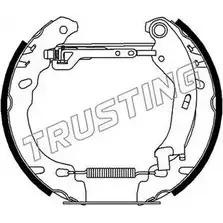 Тормозные колодки, комплект TRUSTING 1749816 VCNA XI YRERP6F 6278