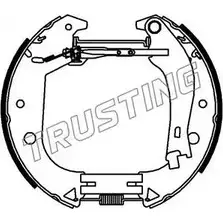 Тормозные колодки, комплект TRUSTING 1749922 ZK7L86E 7 AMKLO 6385