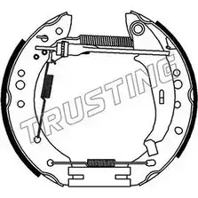 Тормозные колодки, комплект TRUSTING 4EAGBX G B6BN 6441 1749982