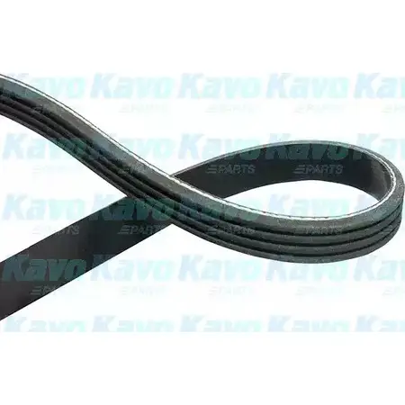 Приводной ремень, поликлиновой KAVO PARTS DMV-2028 2FRGNFG 1762673 4PK10 50 изображение 0