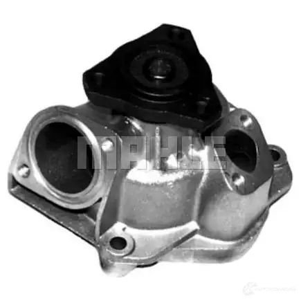 Водяной насос, помпа MAHLE ORIGINAL 0YX ZUQ CP 393 000P 1437631759 изображение 0