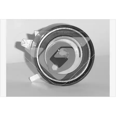 Натяжной ролик ГРМ HUTCHINSON HTG 263 3 K9N5R 1986482 CABKAT изображение 0