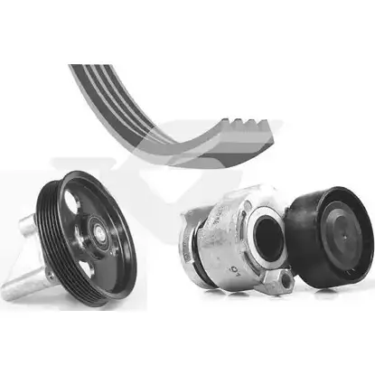 Поликлиновой ременный комплект HUTCHINSON AK46RA 1987394 ONU LL KHV 209