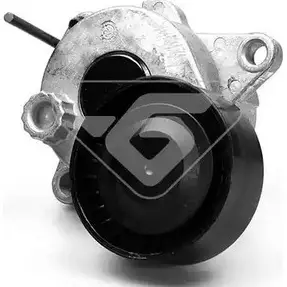 Натяжной ролик, поликлиновой ремень HUTCHINSON LGXPT 1987907 T0067 B32 DW8