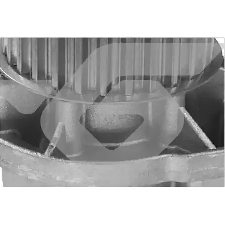 Водяной насос, помпа HUTCHINSON LG8O72 1988301 BA9NQC 0 WP0033V
