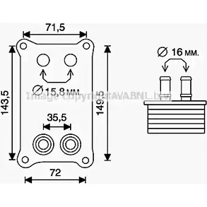 Масляный радиатор двигателя AVA QUALITY COOLING 4045385217304 2021089 36KV F FD3623