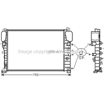 Радиатор охлаждения двигателя AVA QUALITY COOLING FW 6O1 2024813 MSA2440 N3Y2LS