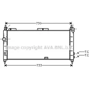 Радиатор охлаждения двигателя AVA QUALITY COOLING 79J 0D1 OL2203 2025931 ILBXB