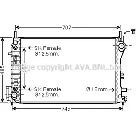 Радиатор охлаждения двигателя AVA QUALITY COOLING 4045385170296 YIO2IU O 2026039 OL2559 изображение 0