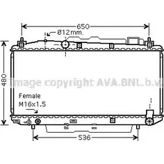 Радиатор охлаждения двигателя AVA QUALITY COOLING 2029422 4045385187546 A 53YMU TOA2348
