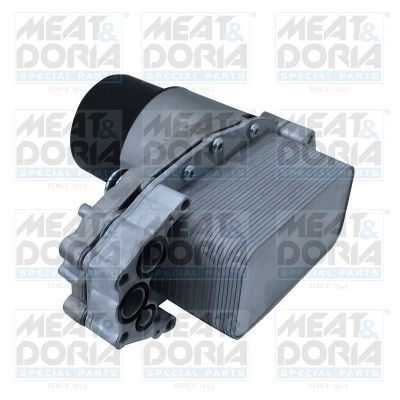 Масляный радиатор двигателя MEAT & DORIA 95246 1437622686 FL8 QSD изображение 0