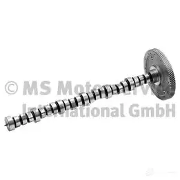 Распредвал BF S5GTV F 4028977796838 20100390600 2667455