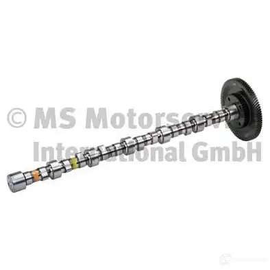 Масляный насос BF 2667546 3PNM T 4028977804557 20140412001