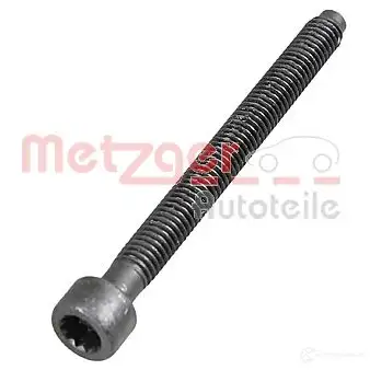 Болт форсунки METZGER 0872003S BC Z4B 1437996272