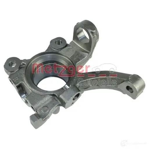 Поворотный кулак, цапфа METZGER 25 R31R8 1424343220 58107602 4062101007322 - Изображение 1